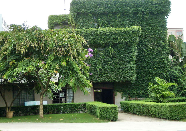 ��ɫ����