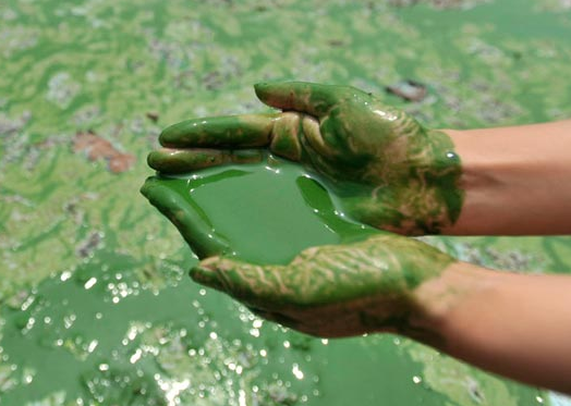 �л����񹲺͹�ˮ��Ⱦ���η� 