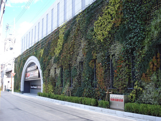 ��ɫ����